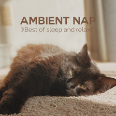 AMBIENT NAP ☽ Best of sleep and relax