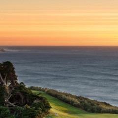 sunset over torrey pines