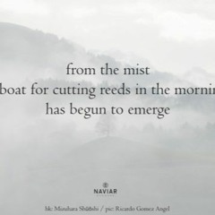 From The Mist ( Naviarhaiku 464 )