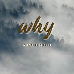 Ahmed Zidan - Why | احمد زيدان