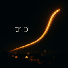 Trip