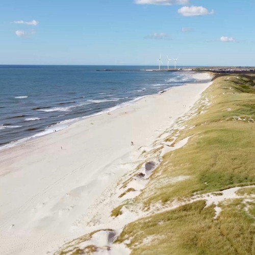 Coast Of Årgab