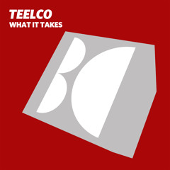 TEELCO - What It Takes (Original Mix)