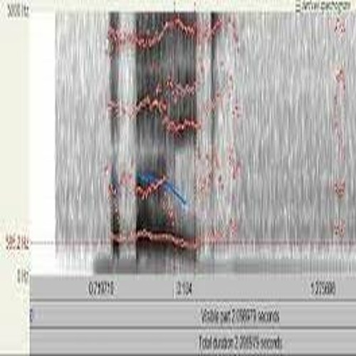 sound pattern study 1