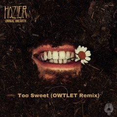 Too Sweet - Hozier (OWTLET Remix)
