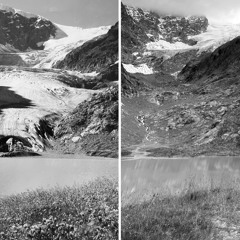 Michaël Van Veen - Steinglacier