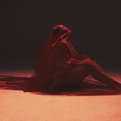 Elley Duhé - Body Talk (PalashevMusic - Remix)