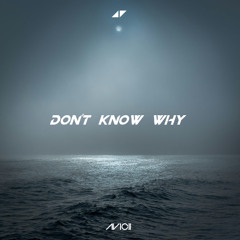 Avicii - Don't Know Why (Remake)
