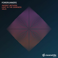PREMIERE: Forerunners - Light In The Darkness (Original Mix) [meanwhile]