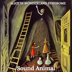 Alice In Wonderland Syndrome