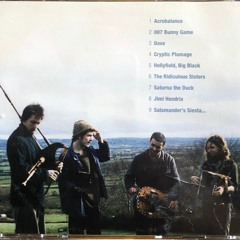 Good Afternoon, This is Roughly Speaking. Salamander's Siesta