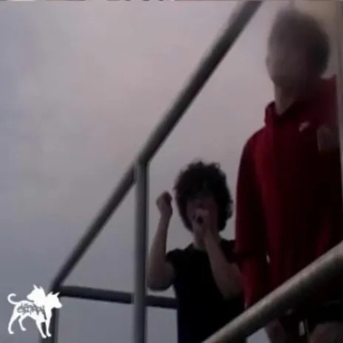 Shine n peace - nettspend (rolling Loud intro)