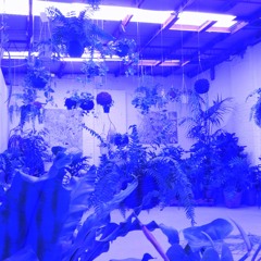 Blue Monday (Cover)