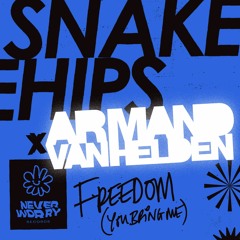 Snakehips X Armand Van Helden - Freedom