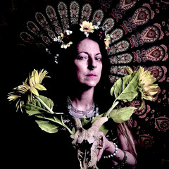 A Force That Counters Chaos