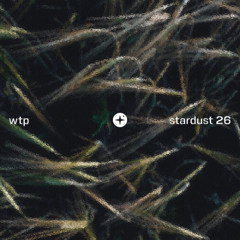 wtp - stardust mix 26