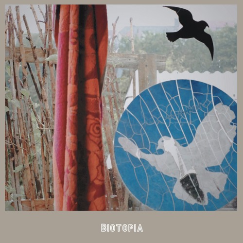 Biotopia # 8 - chöko aba