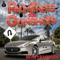 PALMTREES&GUNSHOTS