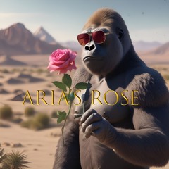 Desert Rose (ArchAngel) Vs Aria (Adventure club) VG Re-Edit