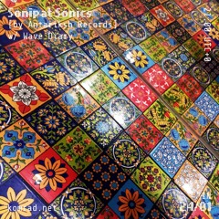 Sonipat Sonics [by Antariksh Records] 011 w/ Wave Diary