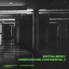 Brotha Berry - Level Up