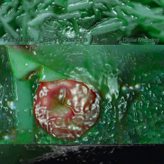 The Blood Rites of the Bourgeoise