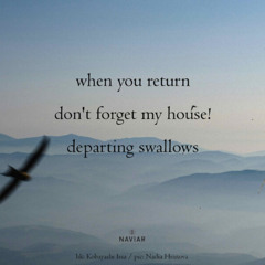 ranged interrupt - naviarhaiku633