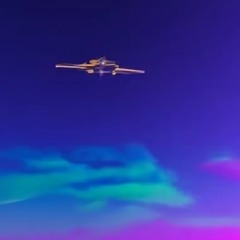Flight