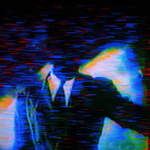 Nixyy - BACKOUTMYCOMA