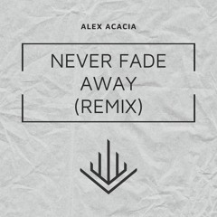 Never Fade Away (Remix)