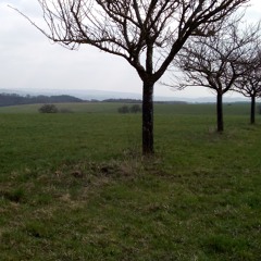 Die Zeit Stand still