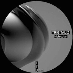 Trigitaliz - That's True [ITU2089]