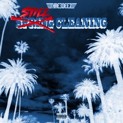 ThreeDeez - Still Cleaning