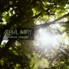 Aerial Fairy -nature stream-