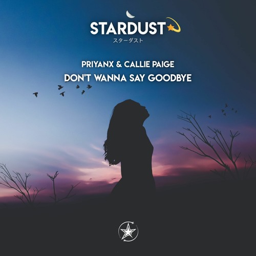 PRIYANX & Callie Paige - Don't Wanna Say Goodbye