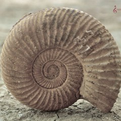 The children of the tribes - Eva Wasserman-Margolis