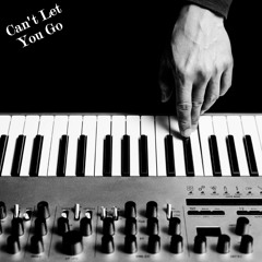 Can't Let You Go