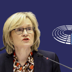 The future of EU defence - Mairéd McGuinness