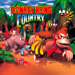 Free Donkey Kong Beat Fear Factory
