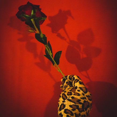MATADOR X QUEEN TUT