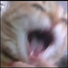 AAAAAAAAAAAAAAAAAAAAAAAAAAAAAAAAAAAAAAAAAAAA