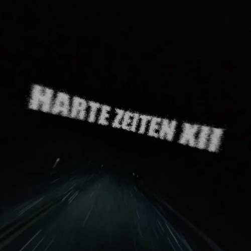 HARTE ZEITEN XII by Birkenlauber