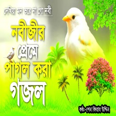 Dekhiya Mon Vorenago Nobiji