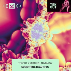 TEKOUT X SARAH B LADYBNOW - SOMETHING BEAUTIFUL RADIO EDIT.mp3