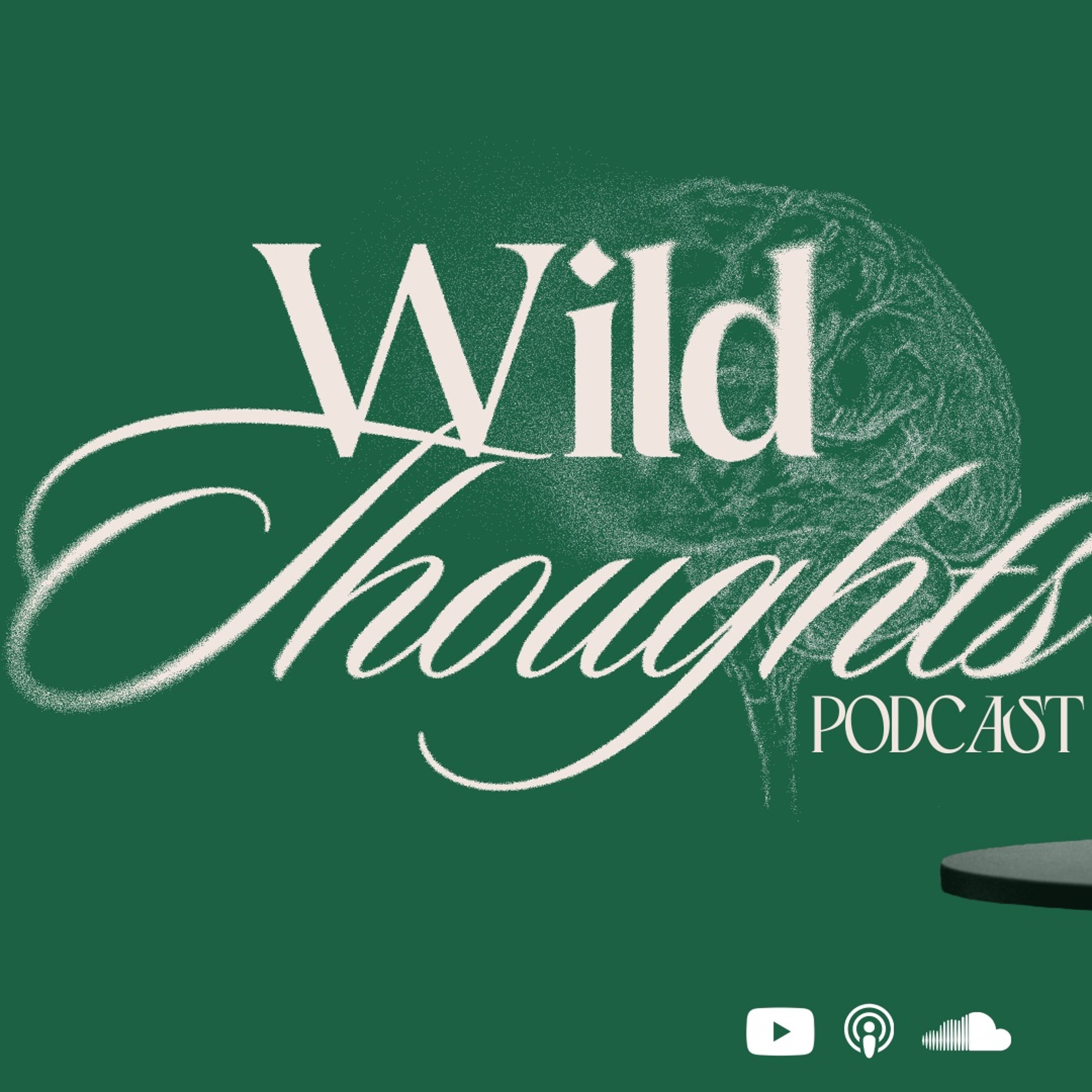 wild thoughts. 001 episode artwork