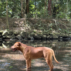 Monsters (reggae rmx)