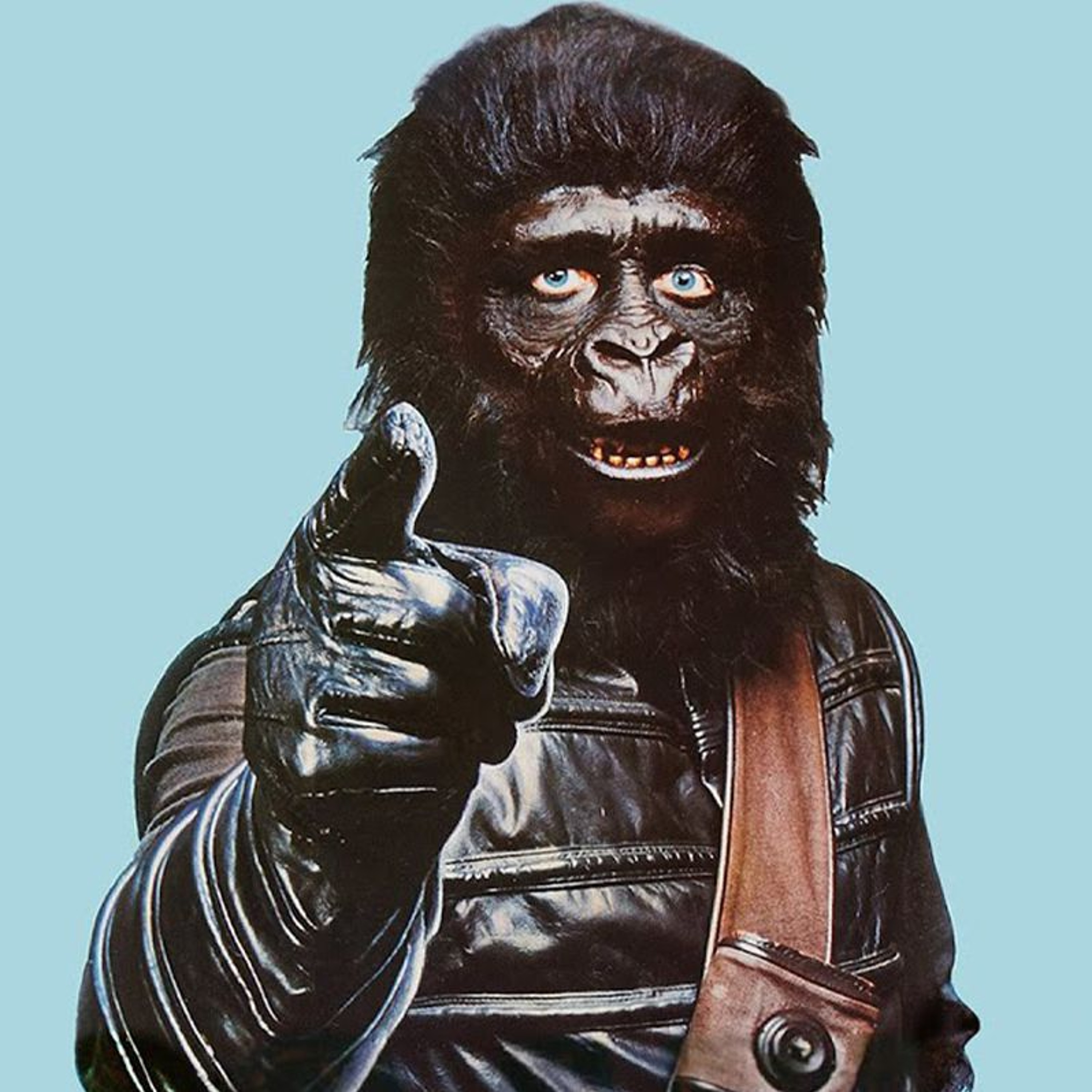 71. De Planet of the Apes-serie