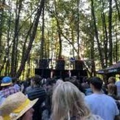 A SOUNDSYSTEM IN THE FOREST