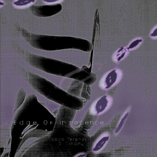 D. Tiffany & Roza Terenzi - Possession [Delicate Records]