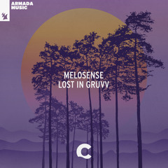 Melosense - Lost In Gruvv